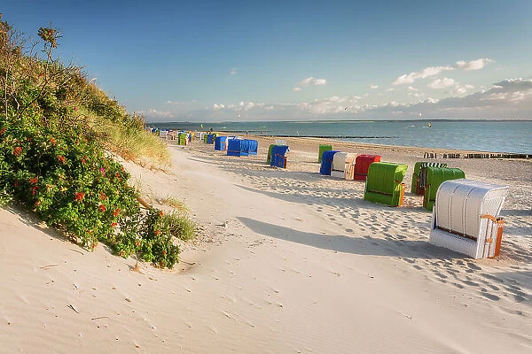 Beach chair at beach near Utersum, Fohr Island, North Sea, North Frisian Islands, Schleswig-Holstein Wadden Sea National Park, North Frisia, Schleswig-Holstein, Germany, Europe