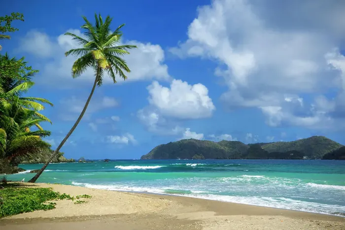 Framed Print : Beach in Charlotteville, Tobago, Republic of Trinidad and Tobago Framed Print : Beach in Charlotteville, Tobago, Republic of Trinidad and Tobago