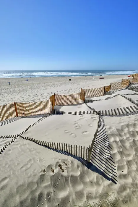 Framed Print : In the beach of Costa Nova, a system to retain the sand carried by the wind and to stop it to form a new sand dune. Portugal Framed Print : In the beach of Costa Nova, a system to retain the sand carried by the wind and to stop it to form a new sand dune. Portugal