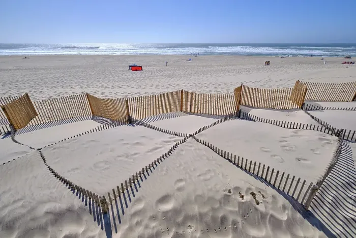 Framed Print : In the beach of Costa Nova, a system to retain the sand carried by the wind and to stop it to form a new sand dune. Portugal Framed Print : In the beach of Costa Nova, a system to retain the sand carried by the wind and to stop it to form a new sand dune. Portugal