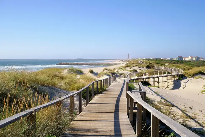 Framed Print : In the beach of Costa Nova, a system to retain the sand carried by the wind and to stop it to form a new sand dune. Portugal Framed Print : In the beach of Costa Nova, a system to retain the sand carried by the wind and to stop it to form a new sand dune. Portugal