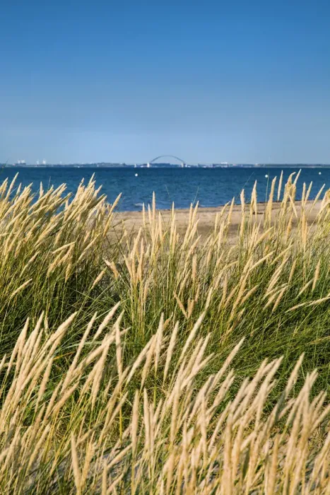 Framed Print : Beach and dunes, Heiligenhafen, Baltic coast, Schleswig-Holstein, Germany Framed Print : Beach and dunes, Heiligenhafen, Baltic coast, Schleswig-Holstein, Germany
