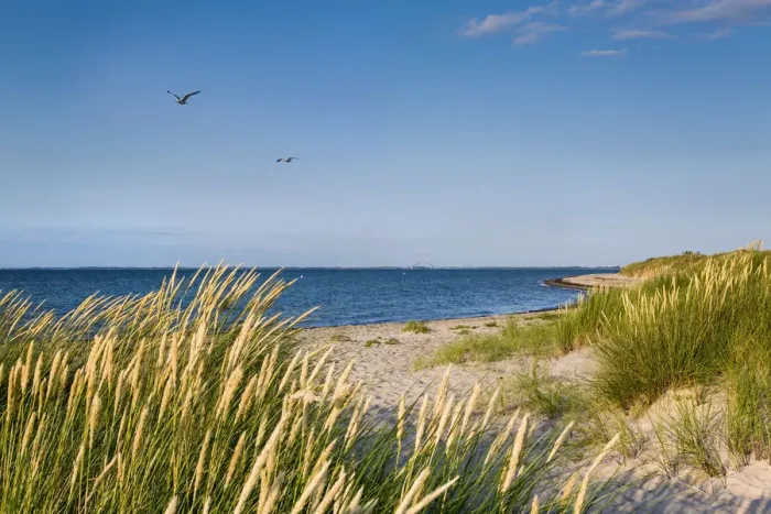 Framed Print : Beach and dunes, Heiligenhafen, Baltic coast, Schleswig-Holstein, Germany Framed Print : Beach and dunes, Heiligenhafen, Baltic coast, Schleswig-Holstein, Germany
