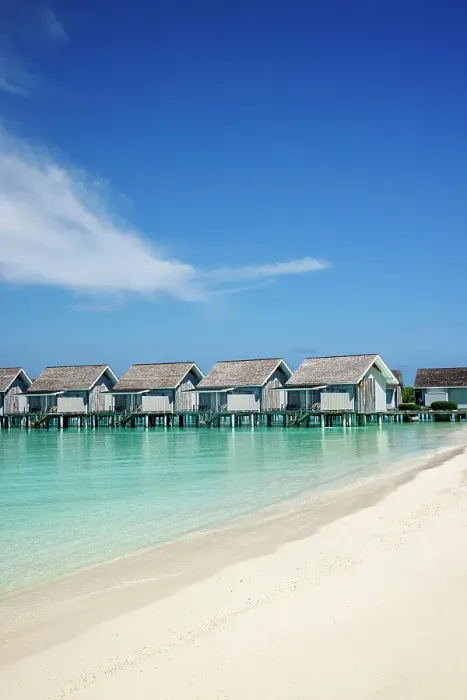 Framed Print : Beach huts on a tropical island in the Indian Ocean, North Ari Atoll, the Maldives Framed Print : Beach huts on a tropical island in the Indian Ocean, North Ari Atoll, the Maldives