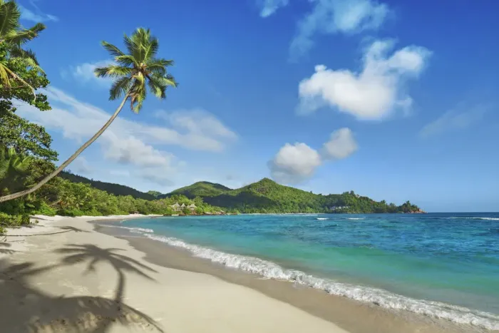 Framed Print : Beach impression with coconut palm an der Petite Anse - Seychelles, Mahe Framed Print : Beach impression with coconut palm an der Petite Anse - Seychelles, Mahe