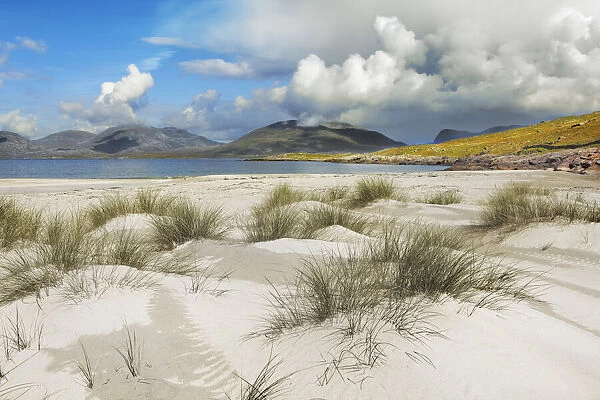 Beach landscape with beachgrass on Harris - United Kingdom, Scotland, Outer Hebrides