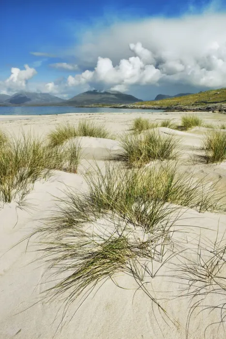 Framed Print : Beach landscape with beachgrass on Harris - United Kingdom, Scotland, Outer Hebrides Framed Print : Beach landscape with beachgrass on Harris - United Kingdom, Scotland, Outer Hebrides