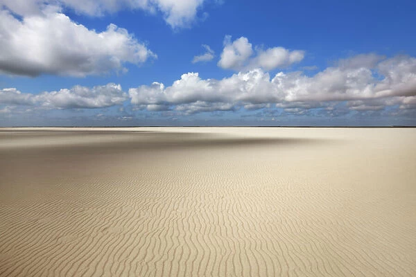 Beach landscape and cumulonimbus clouds - Netherlands, North Holland, Texel