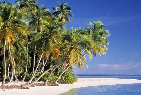 Beach on a Maldives Island