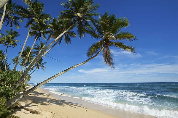 Beach, Mirissa, Sri Lanka