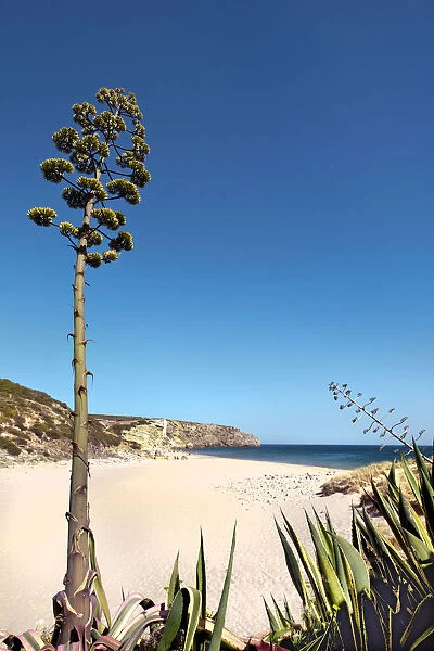 Beach, Praia do Zavial, Vila do Bispo, Algarve, Portugal