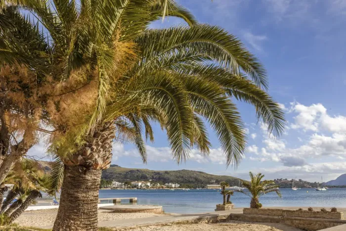 Framed Print : Beach promenade in Port de Pollenca, Mallorca, Spain Framed Print : Beach promenade in Port de Pollenca, Mallorca, Spain
