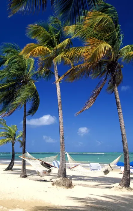 Framed Print : Beach in San Juan, Puerto Rico, Caribbean