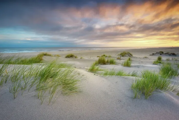 Framed Print : Beach, Spiekeroog Island, North Sea, Ost Frisia, NP Wadden Sea, Germany, Europe Framed Print : Beach, Spiekeroog Island, North Sea, Ost Frisia, NP Wadden Sea, Germany, Europe