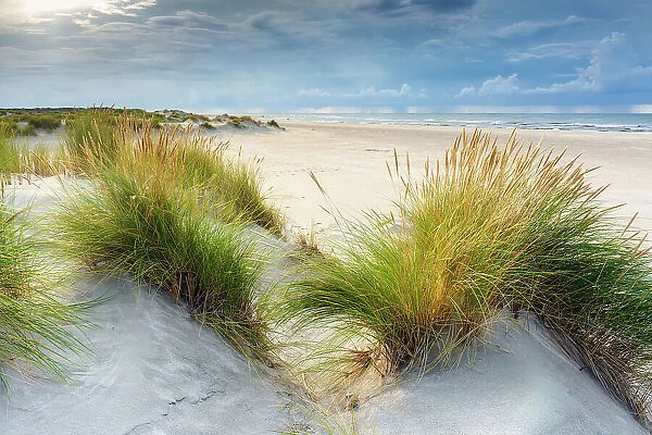 Beach, Spiekeroog Island, North Sea, Ost Frisia, NP Wadden Sea, Germany, Europe