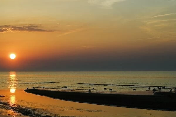 Beach at Sunset on the Gulf of Riga