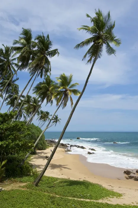 Framed Print : Beach, Tangalla, Sri Lanka Framed Print : Beach, Tangalla, Sri Lanka
