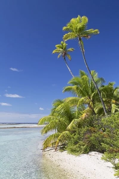 Beach at Tetamanu, Fakarava, Tuamotu Islands, French Polynesia