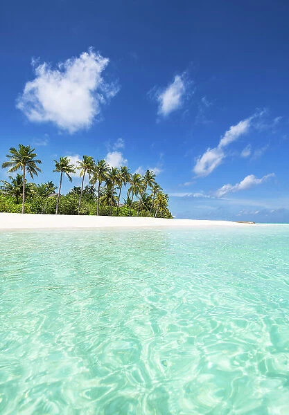 Beach on a tropical island, Baa Atoll, Maldives
