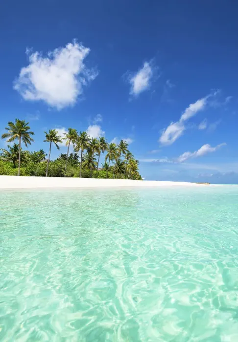 Framed Print : Beach on a tropical island, Baa Atoll, Maldives Framed Print : Beach on a tropical island, Baa Atoll, Maldives