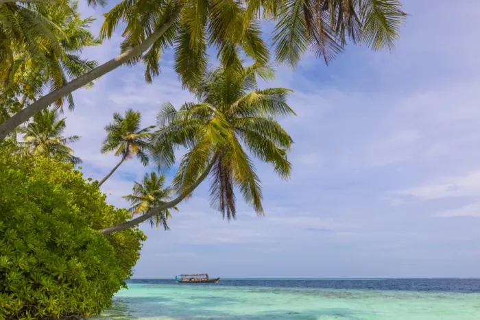 Framed Print : Beach on a tropical island in the South Male Atoll, Maldives Framed Print : Beach on a tropical island in the South Male Atoll, Maldives