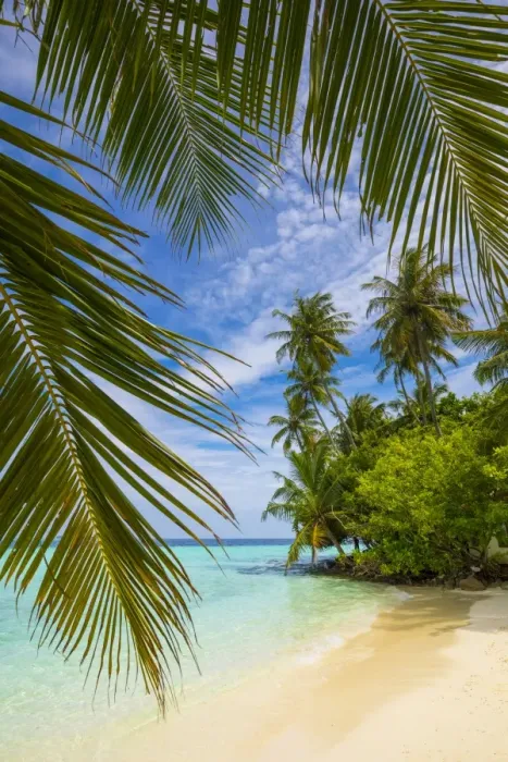 Framed Print : Beach on a tropical island in the South Male Atoll, Maldives Framed Print : Beach on a tropical island in the South Male Atoll, Maldives