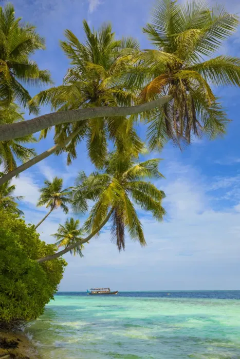 Framed Print : Beach on a tropical island in the South Male Atoll, Maldives