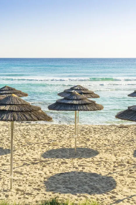 Framed Print : Beach umbrellas at Nissi Beach, Ayia Napa, Famagusta District, Cyprus Framed Print : Beach umbrellas at Nissi Beach, Ayia Napa, Famagusta District, Cyprus