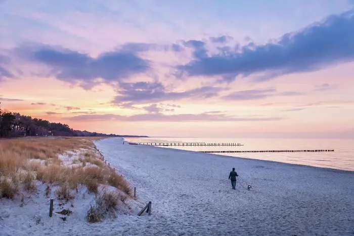 Framed Print : Beach of Zingst, Mecklenburg-Western Pomerania, Baltic Sea, Northern Germany, Germany