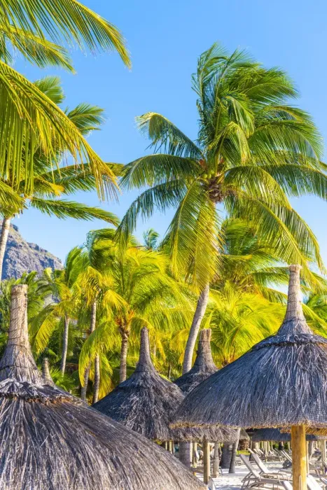 Framed Print : Beachcomber Paradis Hotel at sunset, Le Morne Brabant Peninsula, Black River (Riviere Framed Print : Beachcomber Paradis Hotel at sunset, Le Morne Brabant Peninsula, Black River (Riviere