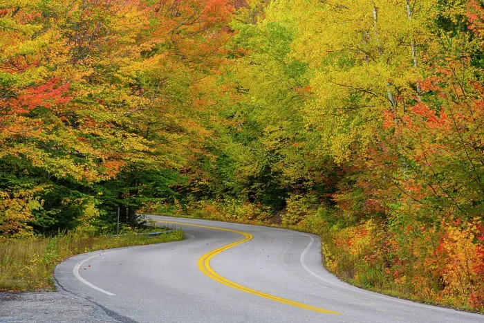 Framed Print : Bear Notch Road in autumn, , New Hampshire, USA Framed Print : Bear Notch Road in autumn, , New Hampshire, USA
