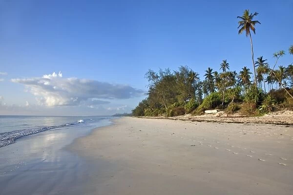 The beautiful coconut palm-fringed Msambweni beach, south of Mombasa, is deserted in the late afternoon