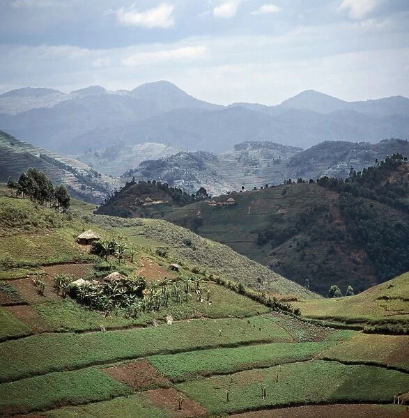 The beautiful hill-country of Southwest Uganda and