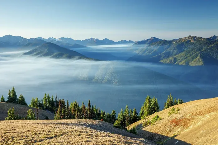 Framed Print : Beautiful mist over mountain range Hurricane Ridge, Olympic National Park, Washington State, USA Framed Print : Beautiful mist over mountain range Hurricane Ridge, Olympic National Park, Washington State, USA