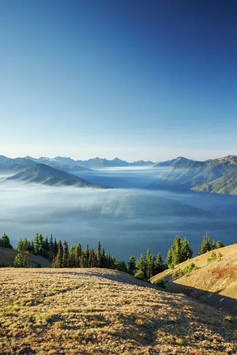 Framed Print : Beautiful mist over mountain range Hurricane Ridge, Olympic National Park, Washington State, USA Framed Print : Beautiful mist over mountain range Hurricane Ridge, Olympic National Park, Washington State, USA