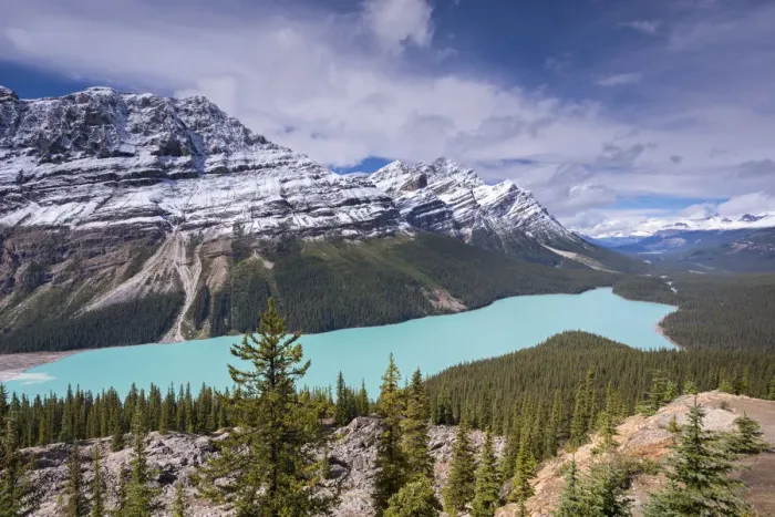 Framed Print : Beautiful Peyto Lake in the Canadian Rockies, Banff National Park, Alberta, Canada Framed Print : Beautiful Peyto Lake in the Canadian Rockies, Banff National Park, Alberta, Canada