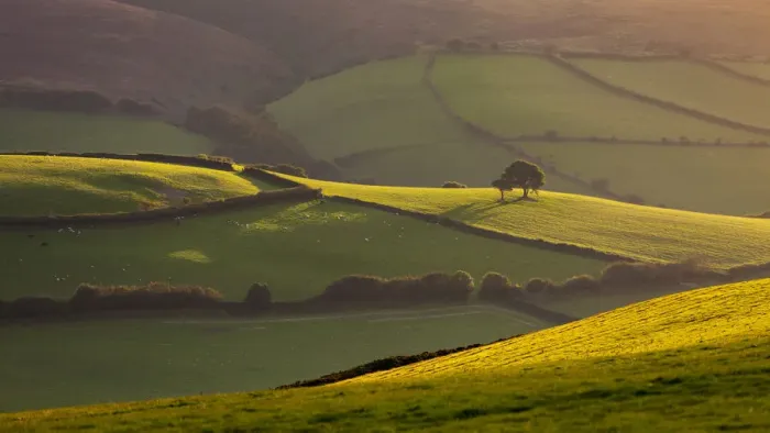Framed Print : Beautiful rolling countryside in evening sunlight, Exmoor, Somerset, England Framed Print : Beautiful rolling countryside in evening sunlight, Exmoor, Somerset, England
