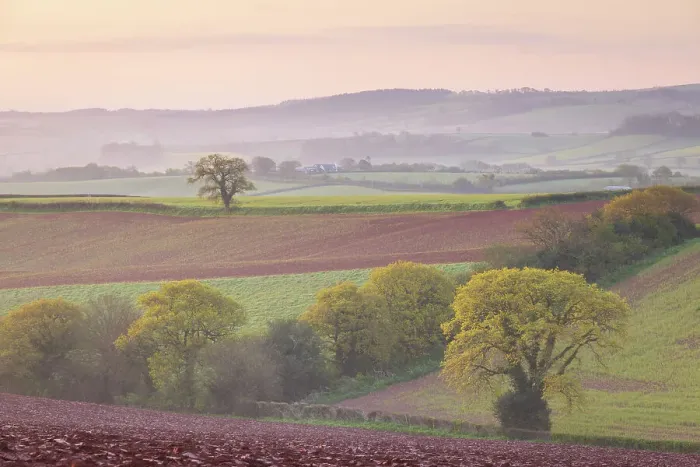 Framed Print : Beautiful rolling countryside on a misty morning, Crediton, Devon, England. Spring (May) 2024 Framed Print : Beautiful rolling countryside on a misty morning, Crediton, Devon, England. Spring (May) 2024
