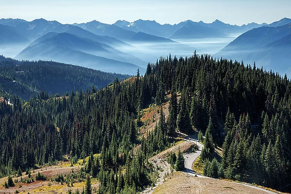 Beautiful view over a trail and mountain range at Hurricane Ridge, Olympic National Park, Washington State, USA