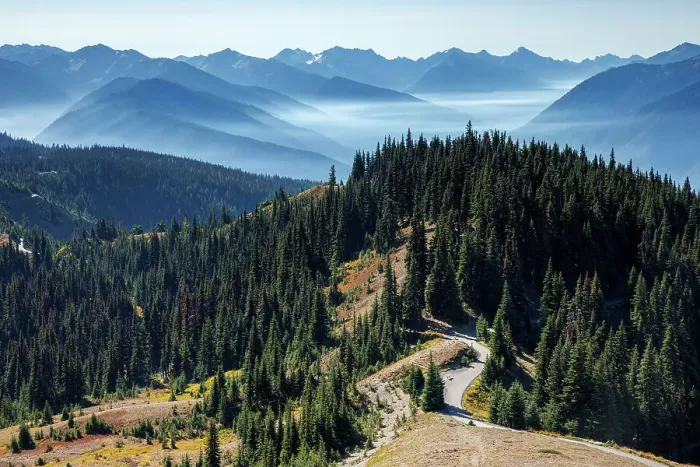 Framed Print : Beautiful view over a trail and mountain range at Hurricane Ridge, Olympic National Park, Washington State, USA Framed Print : Beautiful view over a trail and mountain range at Hurricane Ridge, Olympic National Park, Washington State, USA