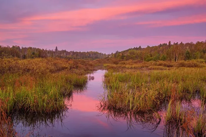 Framed Print : Beaver pond at dawn in early autumn, Greater Sudbury, Ontario, Canada Framed Print : Beaver pond at dawn in early autumn, Greater Sudbury, Ontario, Canada