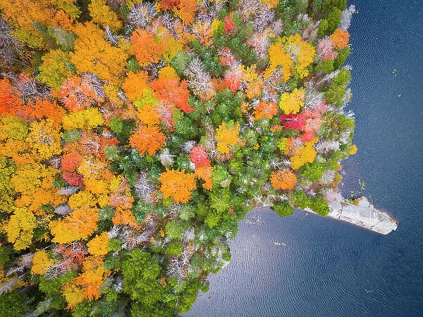 Beaver Pond, Route 112, New Hampshire, USA