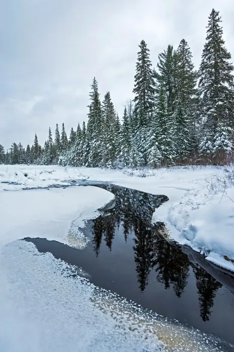 Framed Print : Beaver Pond in winter, Algonquin Provincial Park, Ontario, Canada Framed Print : Beaver Pond in winter, Algonquin Provincial Park, Ontario, Canada