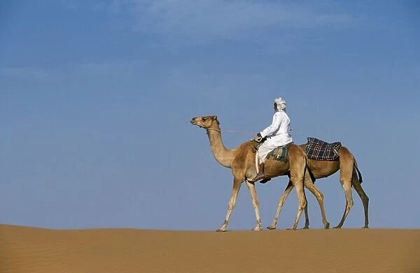 A Bedu rides his camel along the crest of a sand dune in the desert