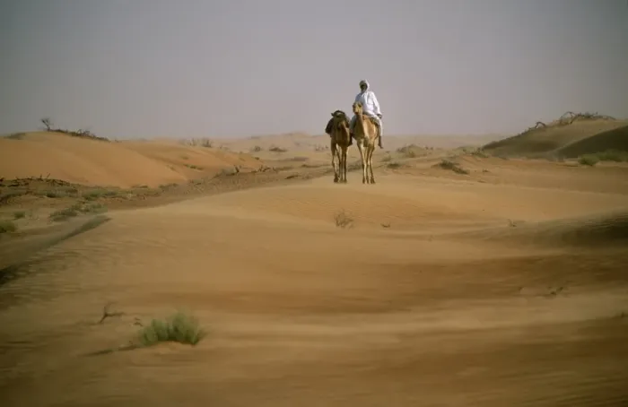 Framed Print : A Bedu rides his camel amongst the sand dunes in the desert Framed Print : A Bedu rides his camel amongst the sand dunes in the desert
