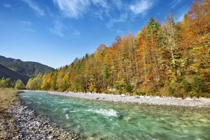 Framed Print : Beech forest in autumn colours and brook - Austria, Tyrol, Schwaz, Risstal Framed Print : Beech forest in autumn colours and brook - Austria, Tyrol, Schwaz, Risstal