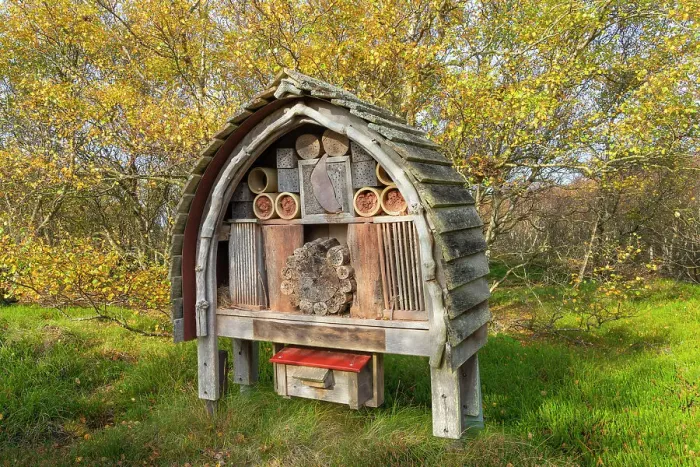 Framed Print : Beehive in forest, near Norddorf, UNESCO, Amrum island, Nordfriesland, Schleswig-Holstein, Germany Framed Print : Beehive in forest, near Norddorf, UNESCO, Amrum island, Nordfriesland, Schleswig-Holstein, Germany