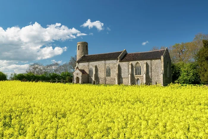 Framed Print : Beeston St. Lawrence Church in Field of Rape, Norfolk, England Framed Print : Beeston St. Lawrence Church in Field of Rape, Norfolk, England