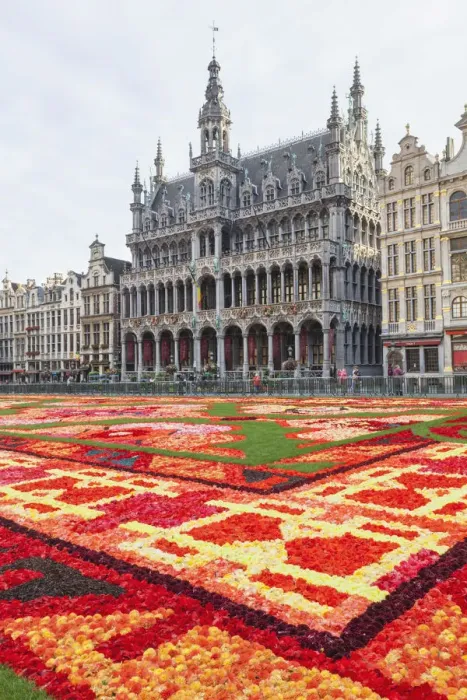 Framed Print : Belgium, Brussels, Grand Place, Flower Carpet Festival and Brussels City Museum Framed Print : Belgium, Brussels, Grand Place, Flower Carpet Festival and Brussels City Museum