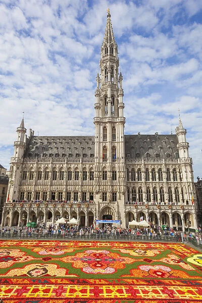 Belgium, Brussels, Grand Place, Flower Carpet Festival and The Town Hall